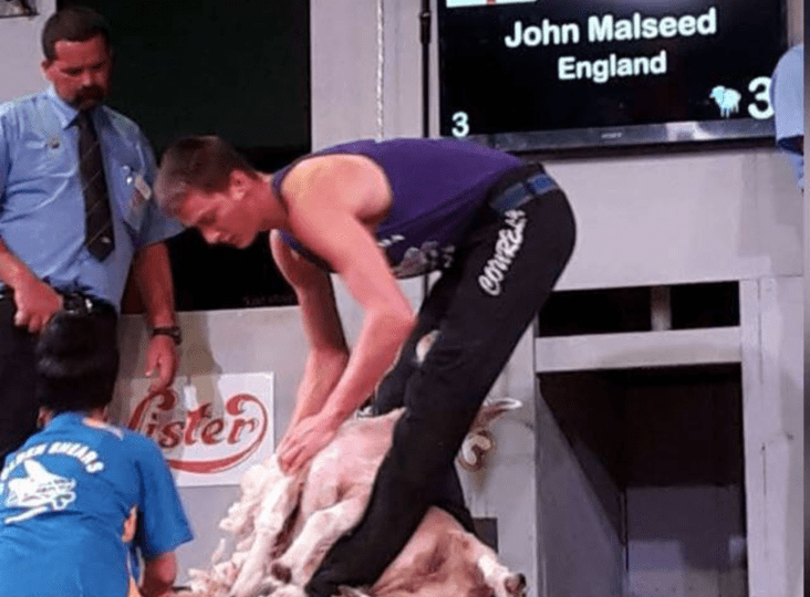 John's Shear Passion Is No Turkey